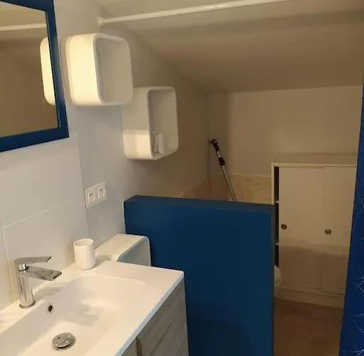 公寓 Neuf Au Calme Sainte-Croix (Tarn)